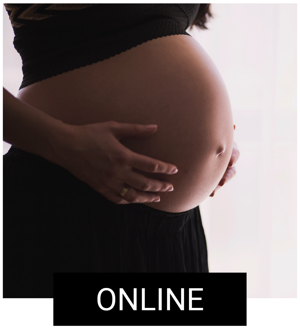 Online Pregnancy Coaching
